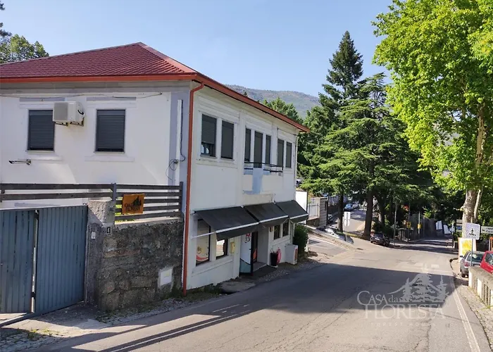 ゲストハウス Casa Da Floresta